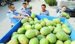 宜丰网红吃瓜群微信,揭秘网络红人的幕后故事